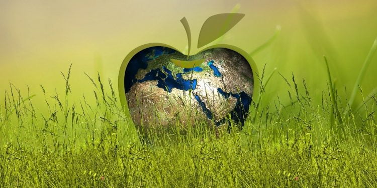 Mercado Libre apoya a emprendedores sustentables latinoamericanos