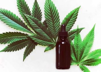 Es necesario regular el cannabis en Argentina