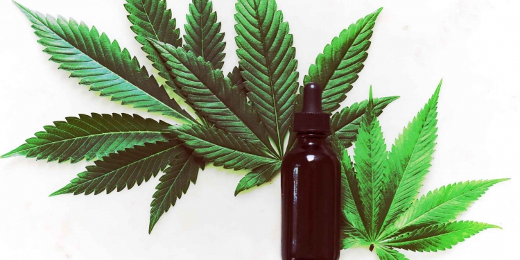 Es necesario regular el cannabis en Argentina