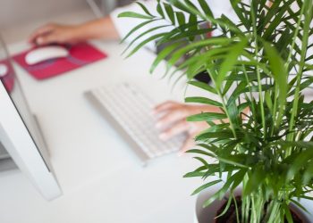 Los microempresas mexicanas son resilientes