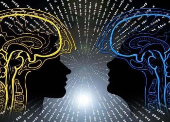 Breve estudio de la inteligencia