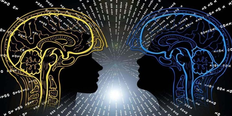 Breve estudio de la inteligencia