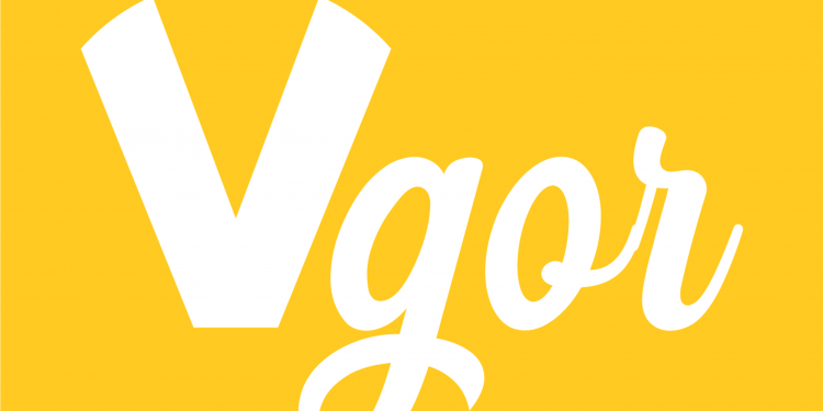 Vgor, la app que conecta emprendedores con clientes