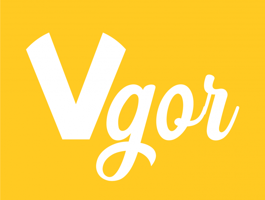 Vgor, la app que conecta emprendedores con clientes