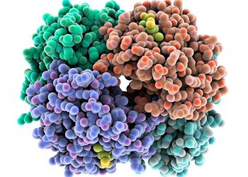 “Radicle Protein Challenge”, la competencia virtual que otorga premios por U$S 1.25 millones