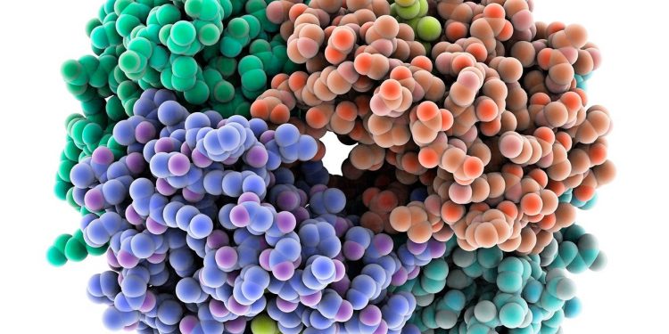 “Radicle Protein Challenge”, la competencia virtual que otorga premios por U$S 1.25 millones