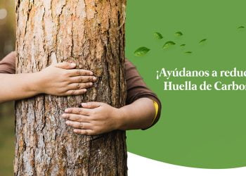 ¡Se plantan contra el calentamiento global! Participá y elegí el nombre para uno de los 600 árboles