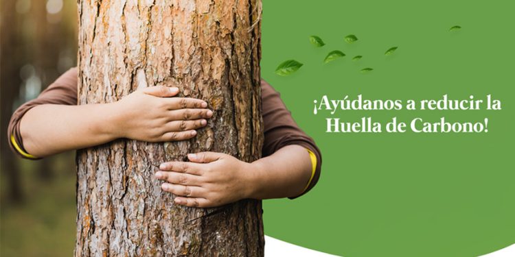 ¡Se plantan contra el calentamiento global! Participá y elegí el nombre para uno de los 600 árboles