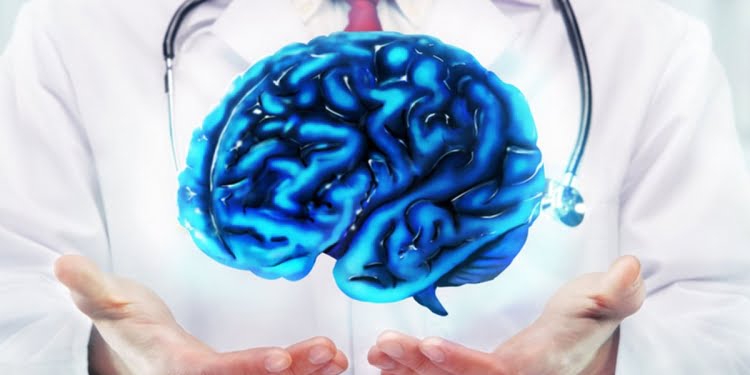 La sintonía fina del cerebro implica la armonización de los instintos, las emociones y los pensamientos.