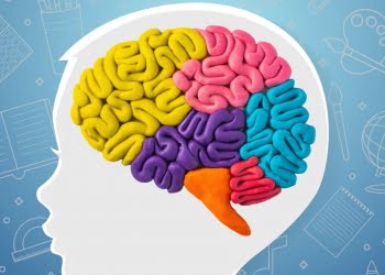 neuroeducación espiritual