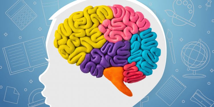neuroeducación espiritual