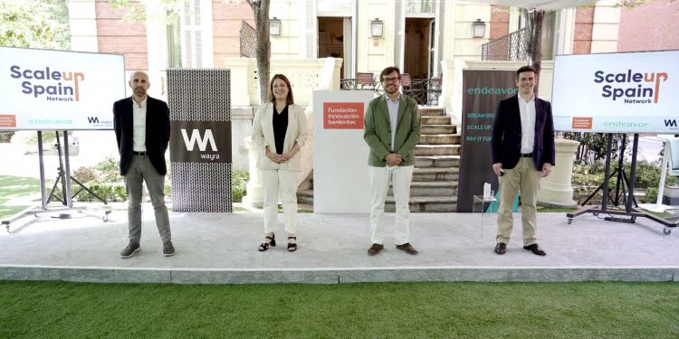 Fundación Innovación Bankinter, Endeavor y Wayra crean Scaleup Spain Network