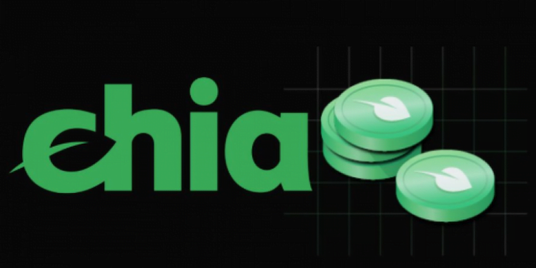 Chía, ¿la futura reina de las criptomonedas?