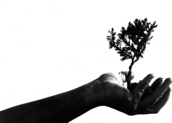 crecimiento exponencial