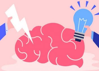 cerebro viejo y neuroplástico