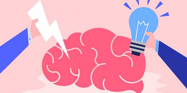 cerebro viejo y neuroplástico