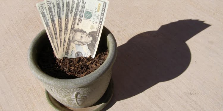 Venture Debt, la alternativa de inversión para pymes