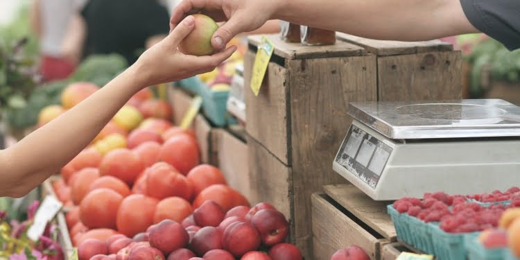 vender sin equipo de ventas