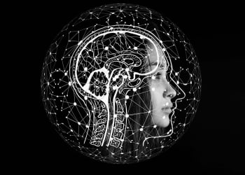 Cerebro sustentable