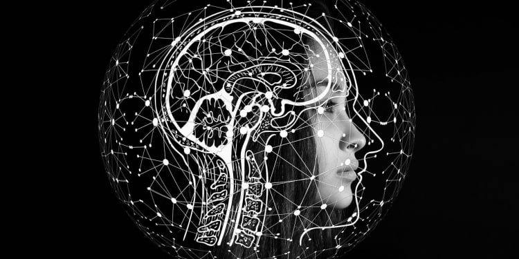 Cerebro sustentable