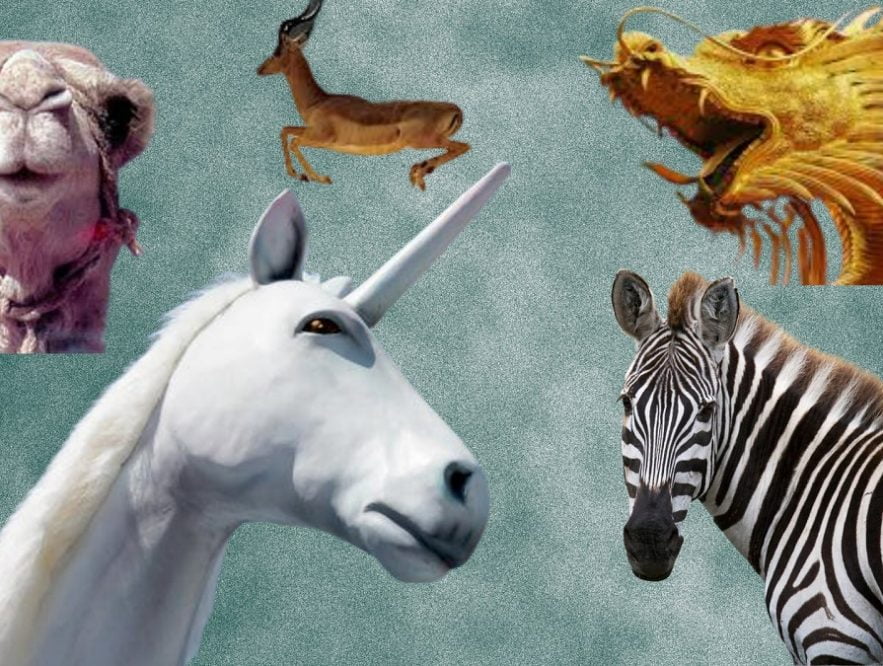 La animalada emprendedora
