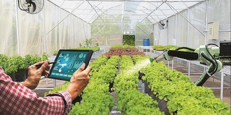 Estas 4 startups reciben fondos del Future of Food Latam 2021