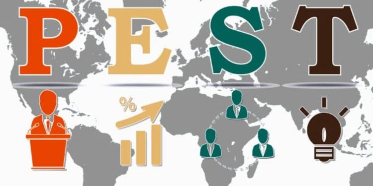 6 Herramientas para armar un plan de negocios
