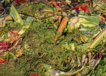 Las Foodtech ayudan a mitigar el hambre y el desperdicio de comida en Latinoamérica