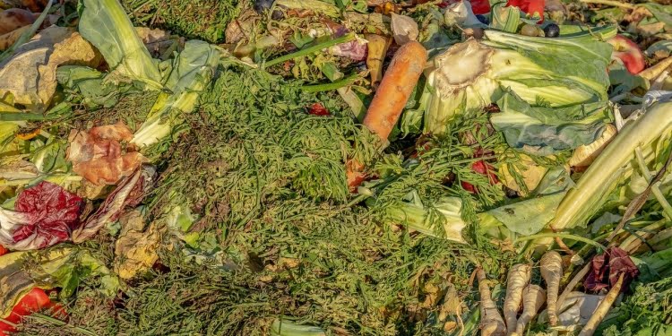 Las Foodtech ayudan a mitigar el hambre y el desperdicio de comida en Latinoamérica