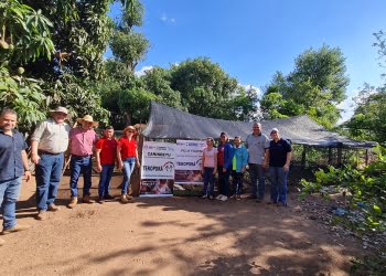 Programa Mi Huerta por la seguridad alimentaria