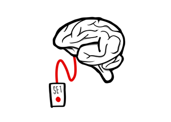 El cerebro no es una pieza perfecta