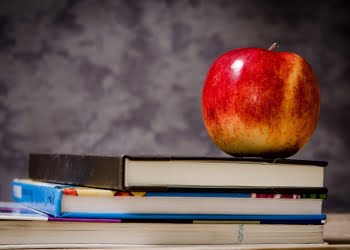 Es la educación, estúpido