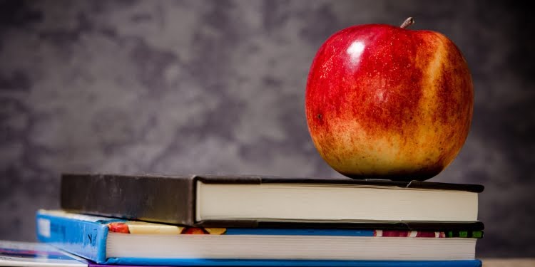 Es la educación, estúpido