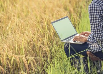 Flash Agro convoca startups Agtech