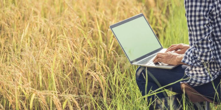 Flash Agro convoca startups Agtech