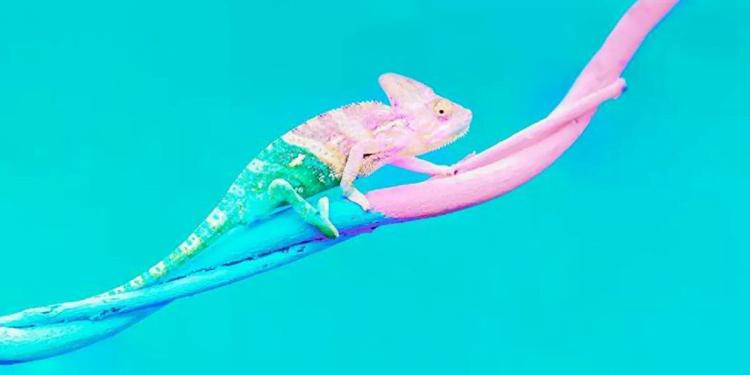 Qué es la flexibilidad cognitiva