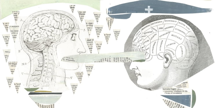 Lectura cerebral