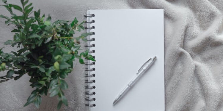 23 ideas de negocios para emprendedores con mindset ecológico