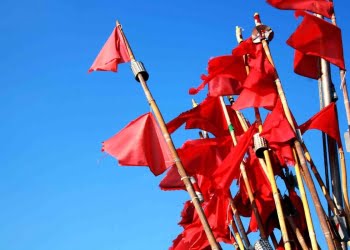 Banderas rojas sobre las startups