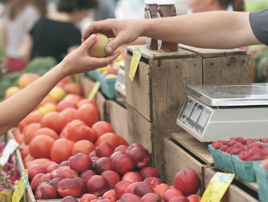 ¿Cuándo es necesario solicitar un préstamo para tu comercio?