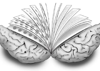 Algo más sobre la lectura cerebral