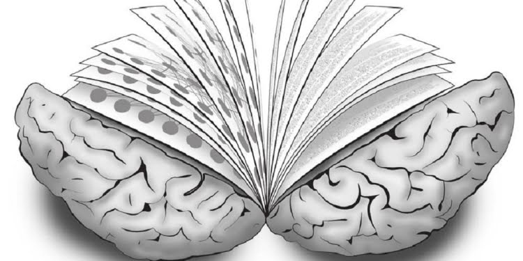 Algo más sobre la lectura cerebral
