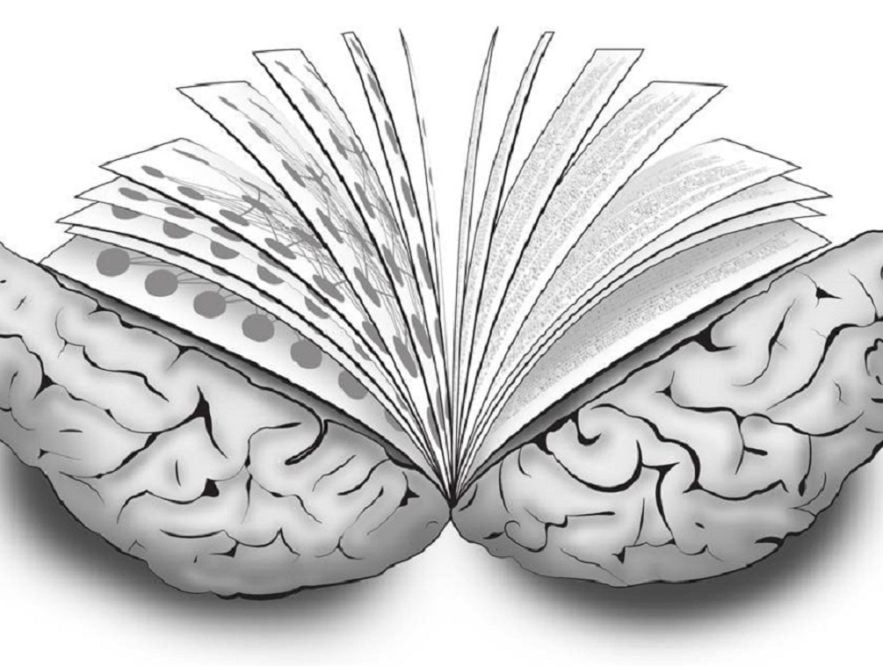 Algo más sobre la lectura cerebral