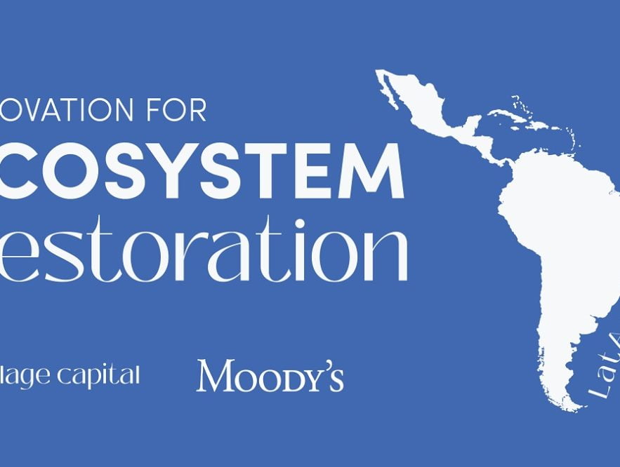 Abre la convocatoria para el Innovation for Ecosystem Restoration