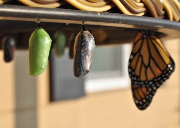 3 secretos para crear una startup que crezca exponencialmente