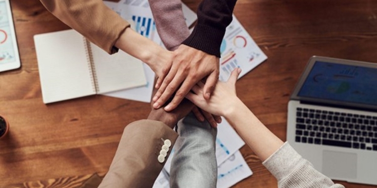 ¿Qué carreras se deben estudiar para emprender un negocio propio?
