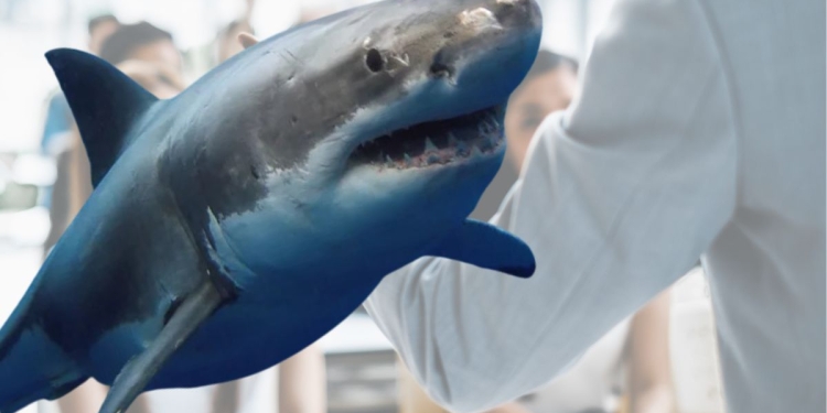 Las 3 terribles lecciones que Shark Tank enseña sobre los pitchs para recaudar fondos