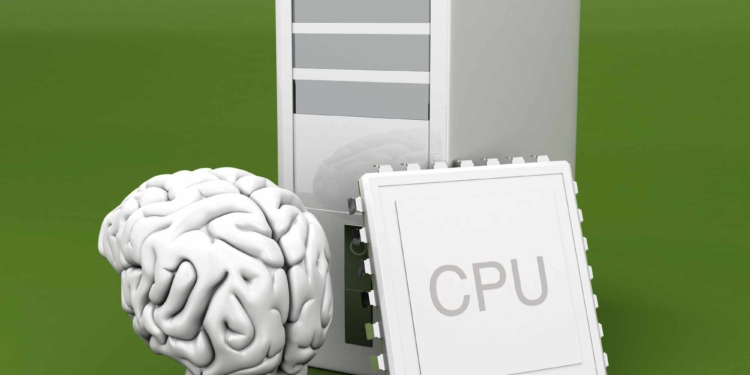 Potenciando el procesamiento intelectual: el viaje de las 4 P
