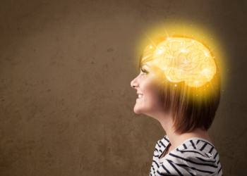 El paralelismo del ajuste y desarrollo del Estado-Nación y el cerebro humano
