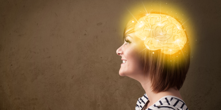 El paralelismo del ajuste y desarrollo del Estado-Nación y el cerebro humano